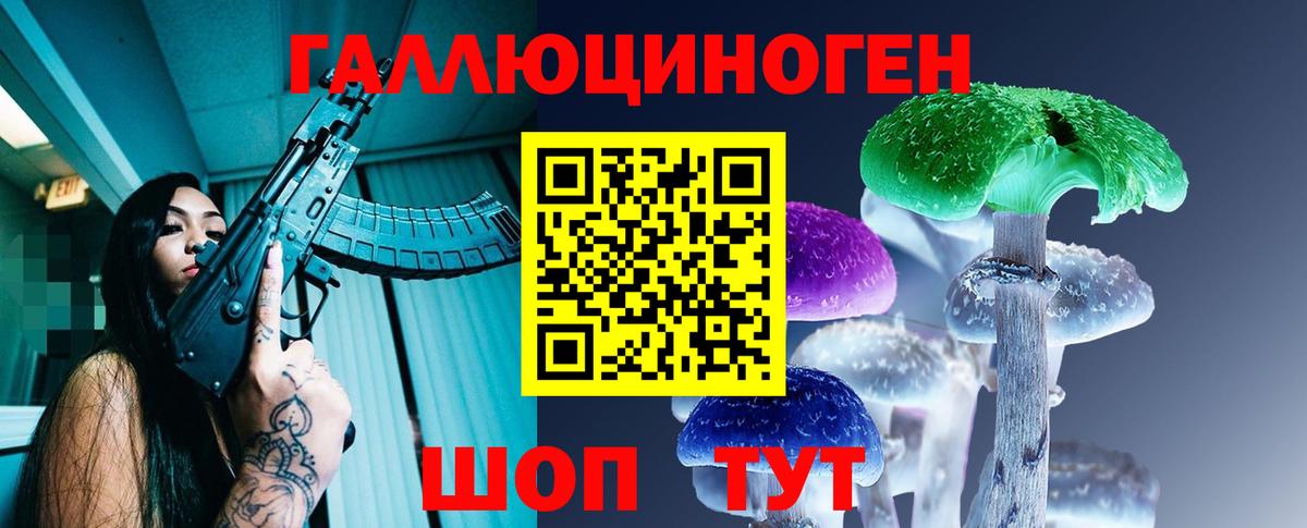 Псилоцибиновые грибы Psilocybine cubensis Бутурлиновка